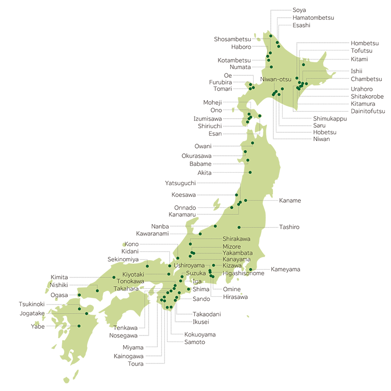 About Mitsubishi's Forests
